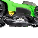 60045_04.webp