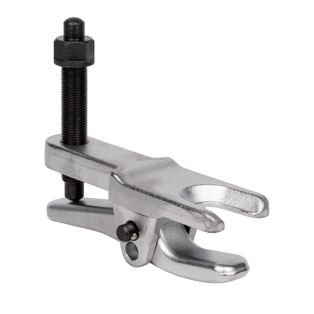 EXTRACTOR DE ROTULAS