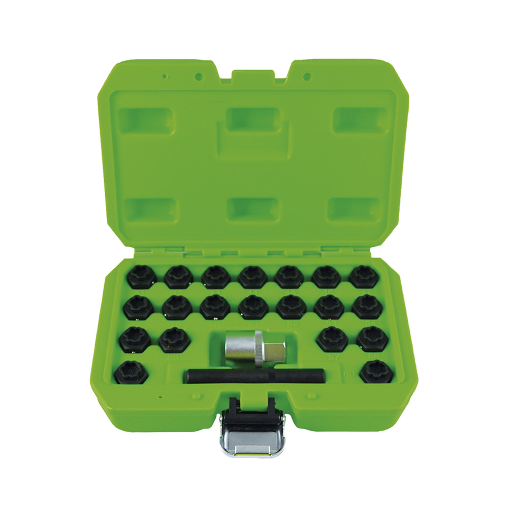 SET TORNILLOS SEGURIDAD BMW